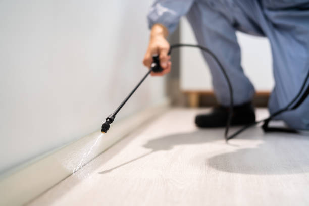Licensed Termite Control service in Gramercy, LA - Nex Pest Control