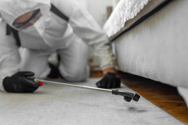 Professional Termite Control technician working in Gramercy, LA