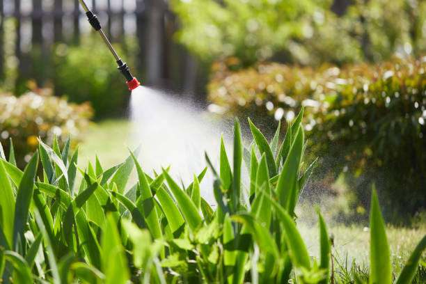 24/7 Emergency Termite Control experts in Gramercy, LA