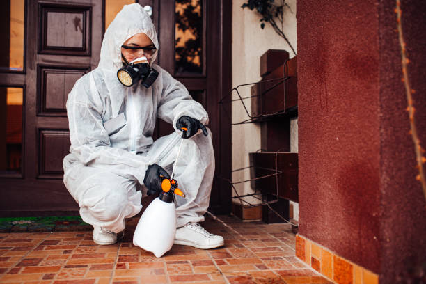 Reliable Termite Control contractor in Gramercy, LA by Nex Pest Control