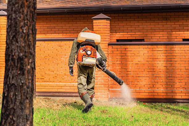 Top rated local Termite Control specialists in Gramercy, LA